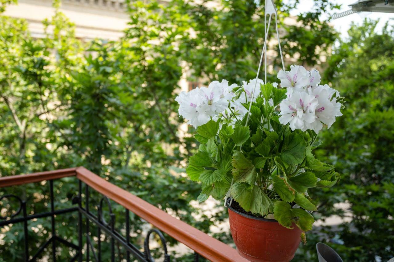 Boutique Hotel Avenue Baku Eksteriør bilde
